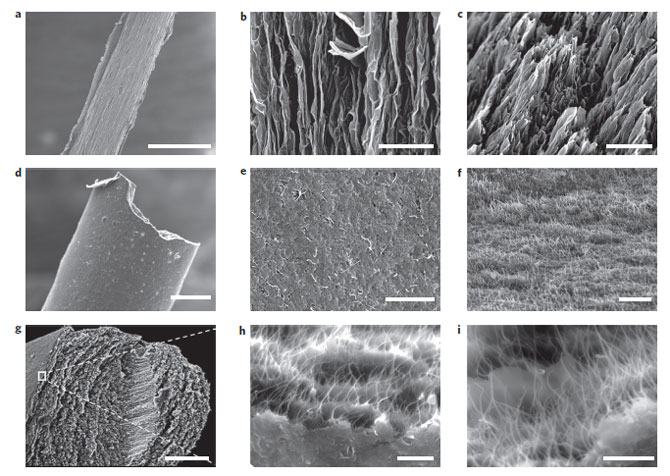Микроструктуры углеродных гибридных волокон