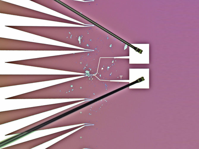 Микрофотография образцов диселенида ванадия, соединенных с электродами