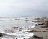 Пластик опасен для экосистемы океана