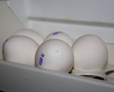 Соевые яйца и мясо все больше тревожат ученых