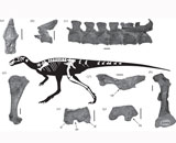 В Венесуэле впервые обнаружили останки динозавра