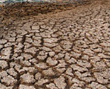 Юго-запад США подвергнется сильной засухе