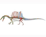 Спинозавр вел полуводный образ жизни