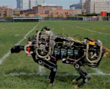 Новый робот способен бегать без поводка по пересеченной местности