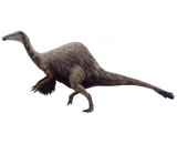 В канадском музее открыли новый вид динозавра