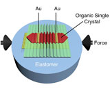 Анонсировано революционное усовершенствование органических транзисторов на основе монокристаллов