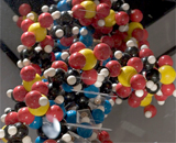 Генерация молекулы РНК в воде