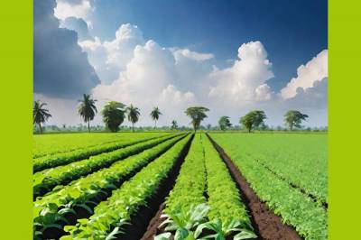 Климатически грамотное сельское хозяйство держит фокус на качестве питания