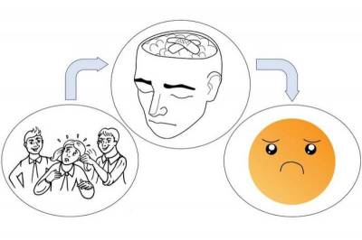 Molecular Psychiatry: Мозг жертв буллинга несет признаки развивающегося психоза