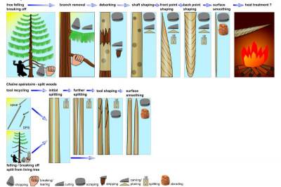 Шёнингенские копья доказали: 300 000 лет назад древесина была важнейшим сырьем