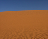 38% поверхности планеты под угрозой опустынивания