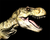 Предки Тираннозавра Рекса жили в Австралии