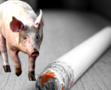 Сигареты могут содержать свинину