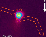 Фотосенсоры на основе одинарной квантовой точки