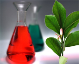 Экологичная химия открывает путь зеленому производству