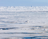 Пресная вода из ледников беспокоит экспертов