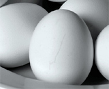 В яйцах меньше холестерина, чем считалось ранее