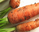 Противораковые свойства моркови возрастают, если готовить ее целиком