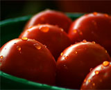 Может ли потребление томатов сократить риск инсульта?