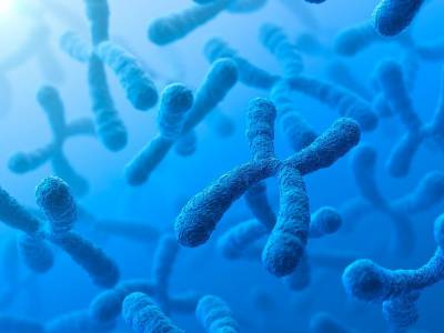 Избыточный ген на 21 хромосоме вызывает ускоренное старение у людей с синдромом Дауна