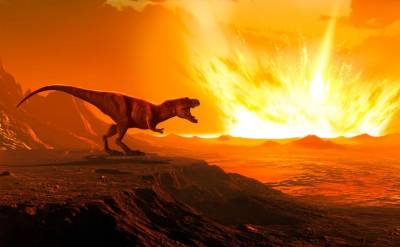 Гены, регулирующие память и агрессию, возникли задолго до динозавров