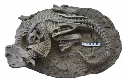 Ученые нашли окаменелого барсука, который охотился на динозавров
