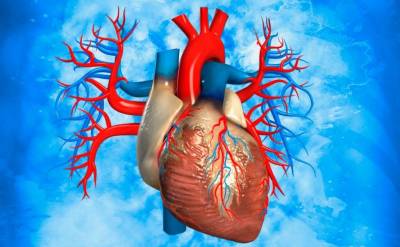 CCQO Journal: Пренатальная диагностика помогает предотвратить сердечную недостаточность у детей