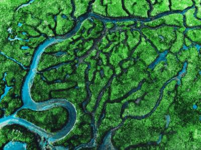 Nature: Реки и ручьи вносят значительный вклад в выбросы метана в атмосферу