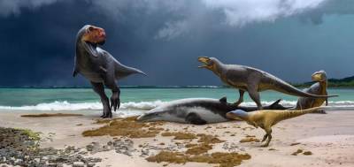 Cretaceous Research: В Марокко нашли «мелкую» копию тираннозавра