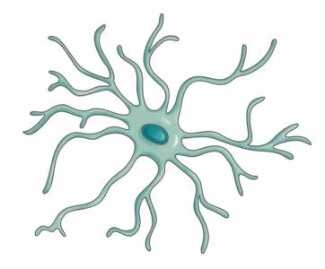 Neuron: Мутации генов PINK1 и Parkin могут привести к болезни Паркинсона