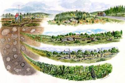 FEARC: Археологи используют фундук для реконструкции древних лесных массивов